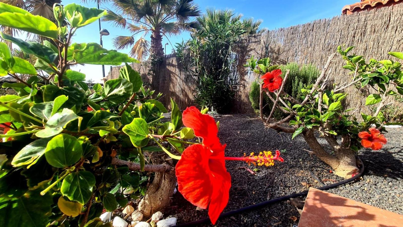 Ocean House - Origo Mare Villa *