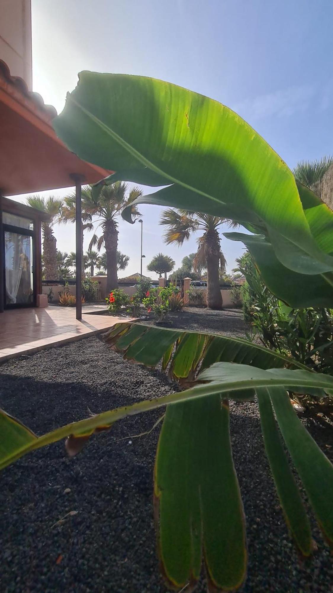 Ocean House - Origo Mare *